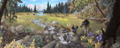 Slice of Wilderness: Montane Edition